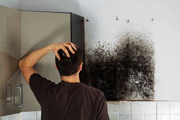 Best Residential Mold Removal  in Otisville, NY